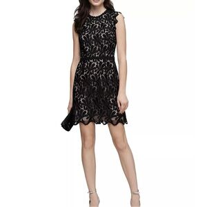 Reiss lace dress